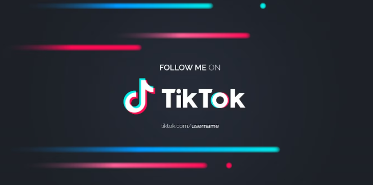 TikTok Hesabını Kurtarma 1